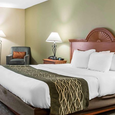 Comfort Inn Pine Grove I-81 Hershey Area Exteriér fotografie