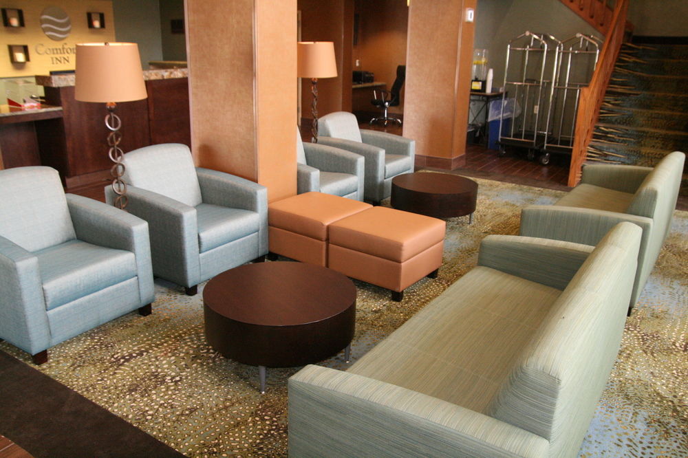 Comfort Inn Pine Grove I-81 Hershey Area Exteriér fotografie